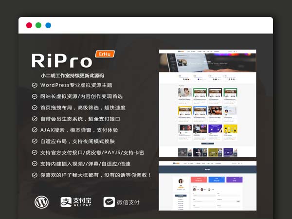 WordPress主题模版 日主题 RiPro6.7破解版独家修复明文完整版本