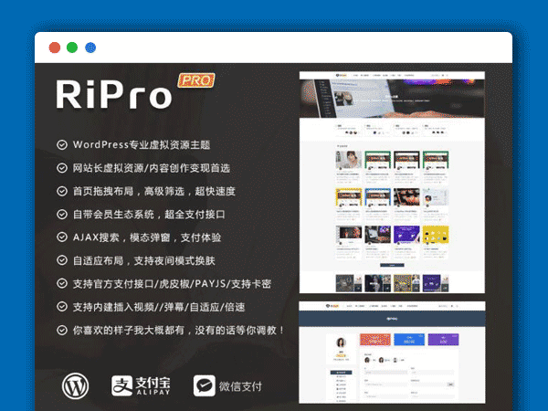 RiProV4.3.0版本 破解去授权无限制版本 WordPress主题 虚拟资源主题